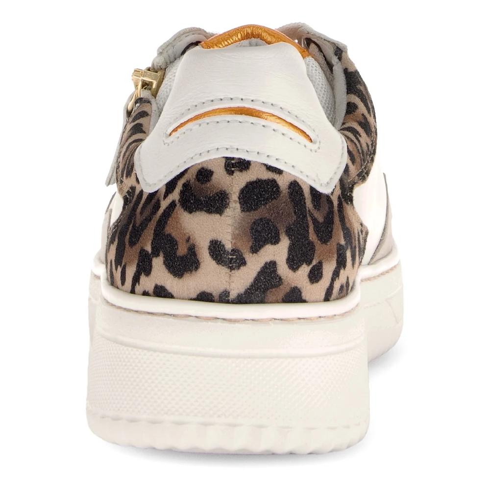 Gabor Plateausneaker Freizeitschuh Halbschuh Schnürer mit Kontastbesätzen Weite K Outlet