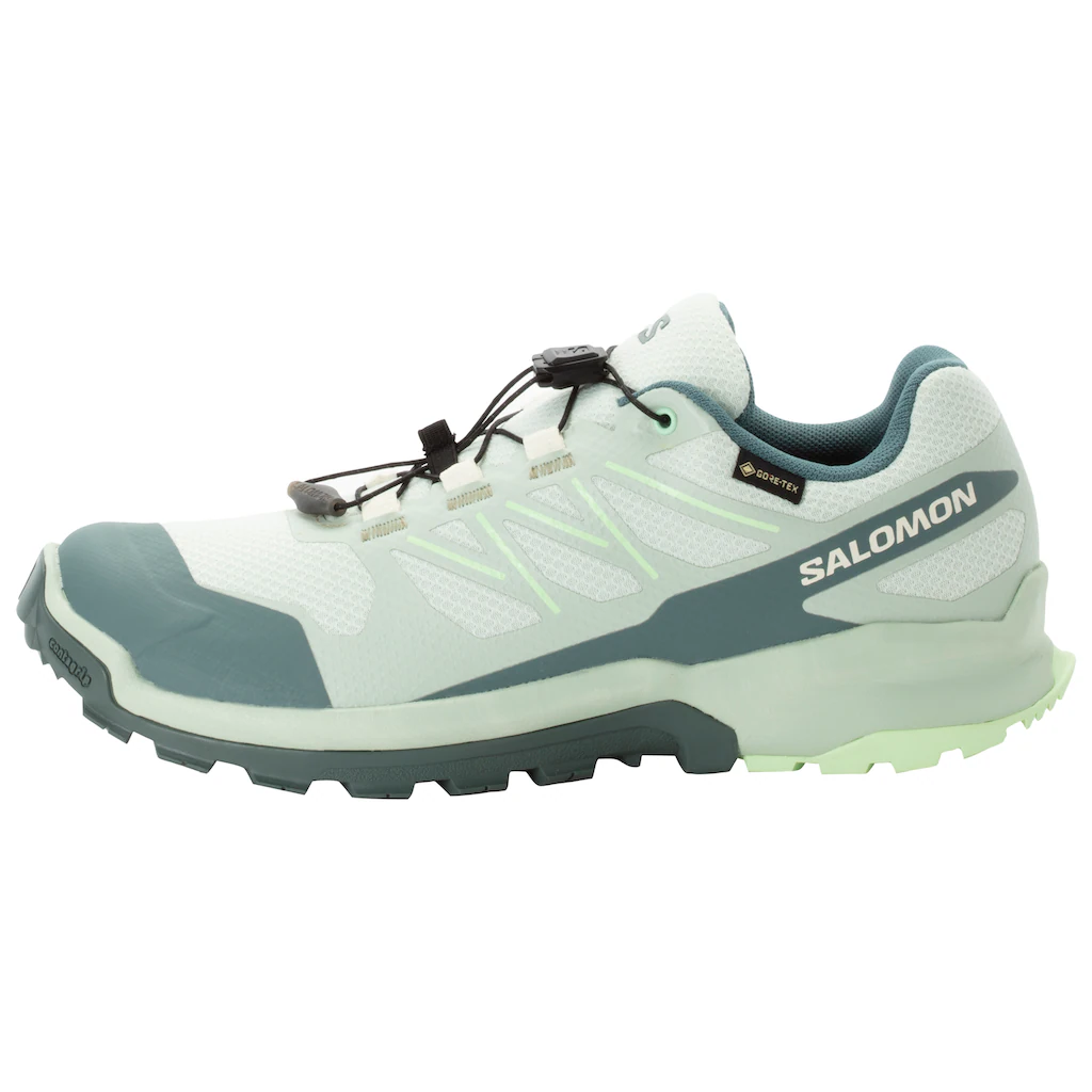 Salomon Trailrunningschuh »XA FLYER GTX W« wasserdicht auf Rechnung kaufen Bis zu 55% Rabatt