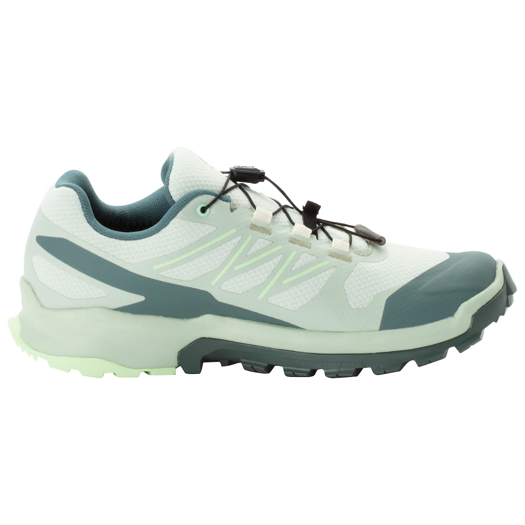 Salomon Trailrunningschuh »XA FLYER GTX W« wasserdicht auf Rechnung kaufen Bis zu 55% Rabatt