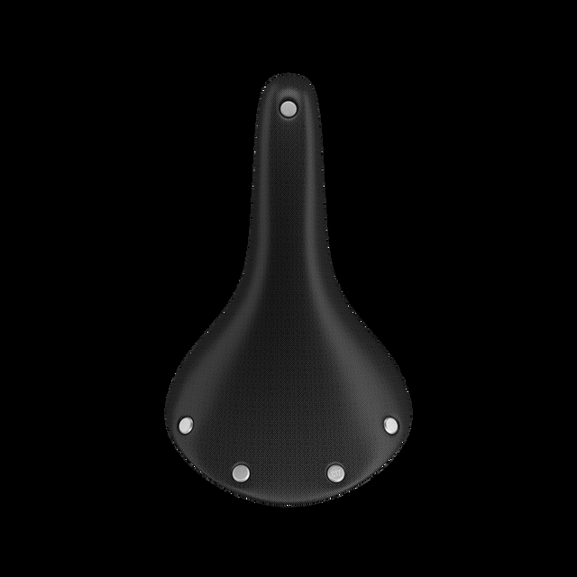 Brooks Brooks Cambium C17 Special Sattel schwarz &vert; 2025
